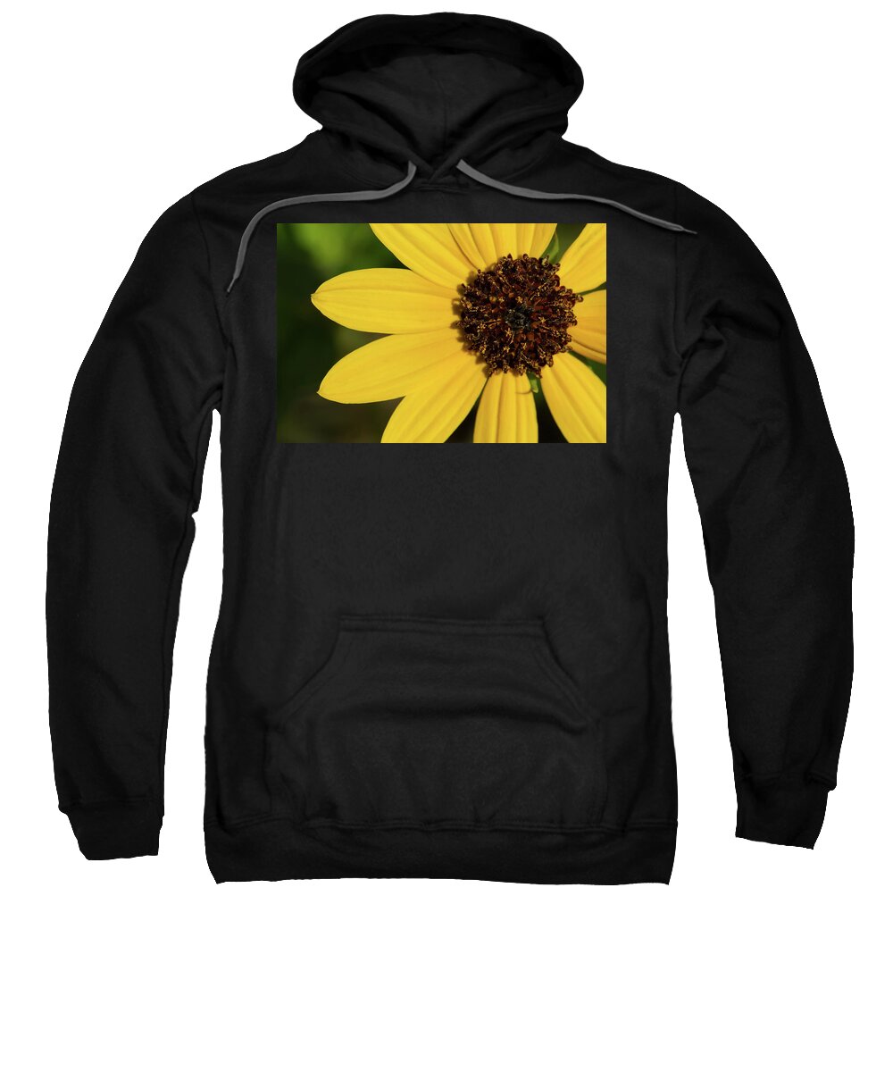 Sunflower Sweatshirt featuring the photograph West Coast Dune Sunflower by Paul Rebmann