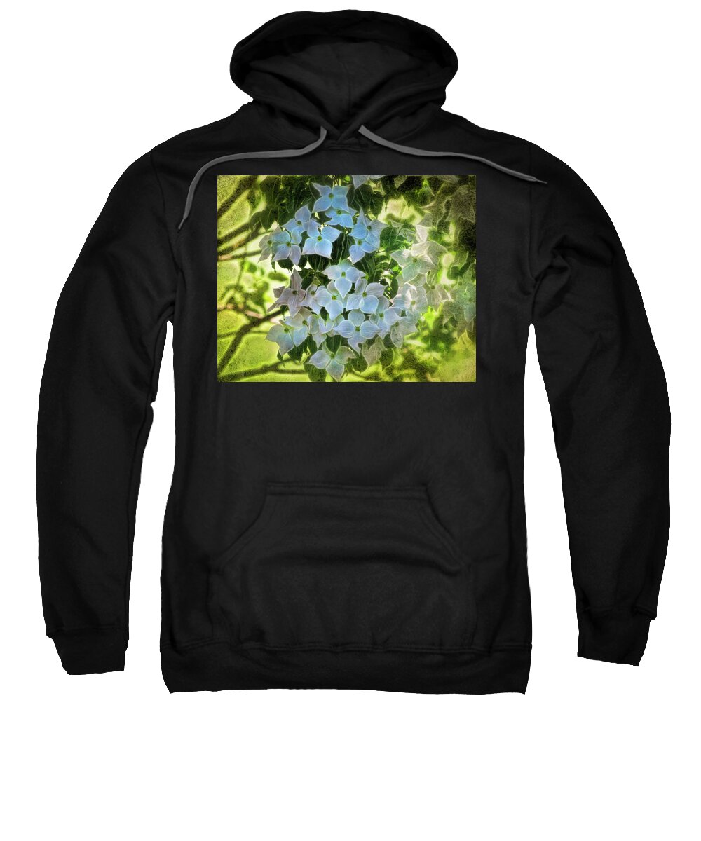 White Flower Sweatshirt featuring the photograph White flowers at Botanical Gardens in New York City. by Cordia Murphy