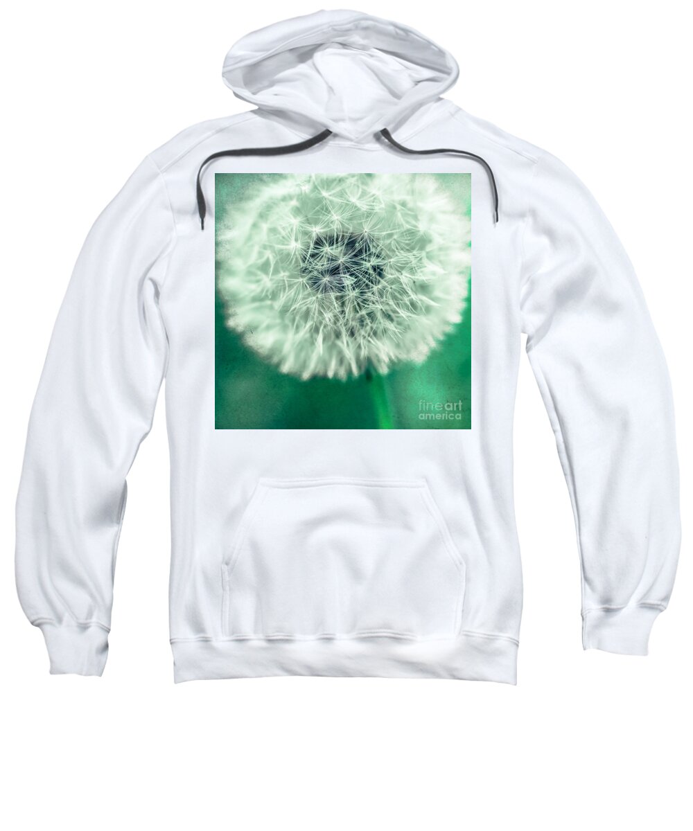 1x1 Sweatshirt featuring the photograph Blowball 1x1 by Hannes Cmarits