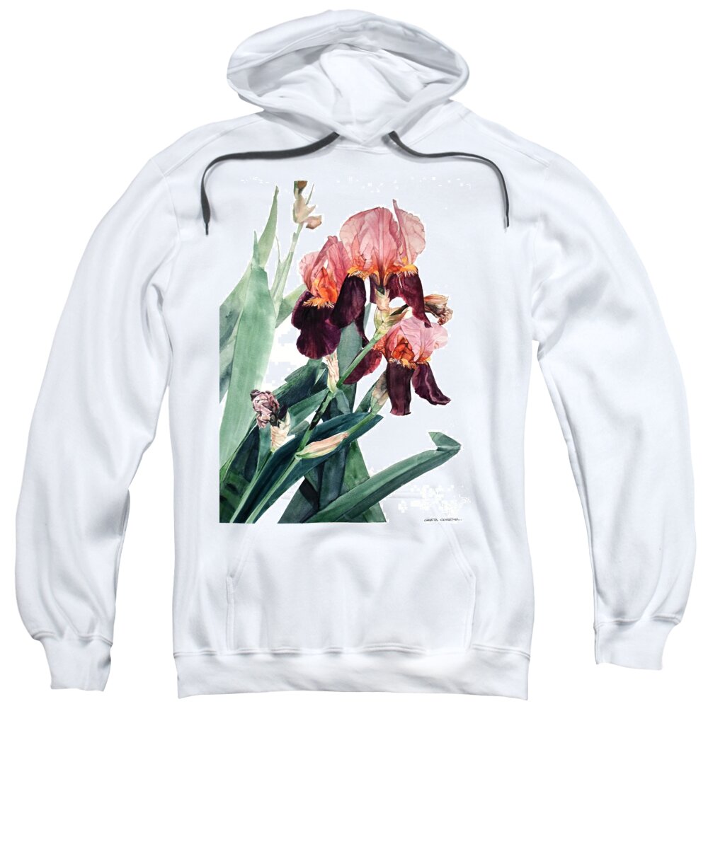Watercolor Sweatshirt featuring the painting Watercolor of a Pink and Maroon Tall Bearded Iris I call Iris La Forza del Destino by Greta Corens
