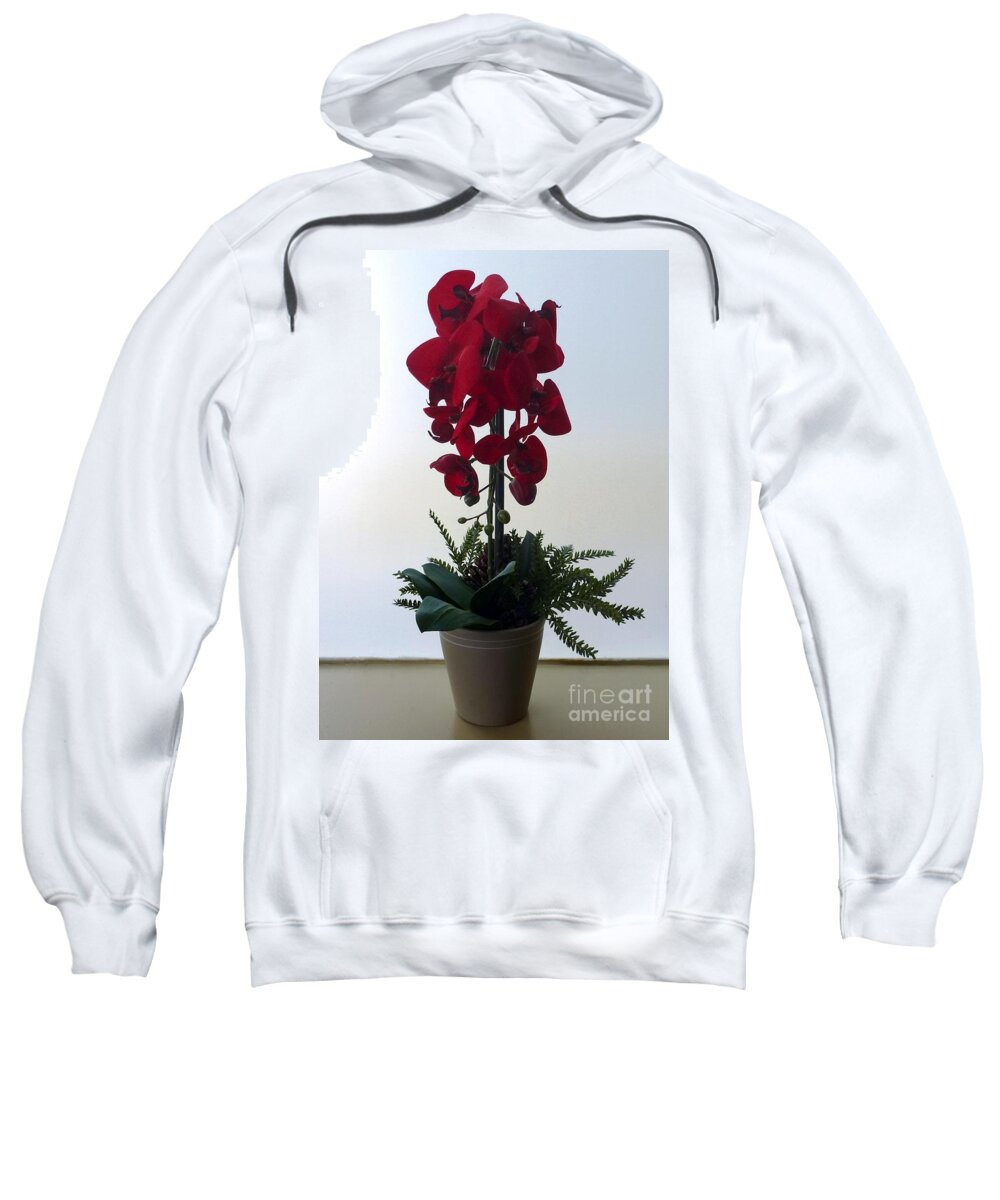 Orchidaceae Sweatshirt featuring the photograph Red Orchid by Barbie Corbett-Newmin