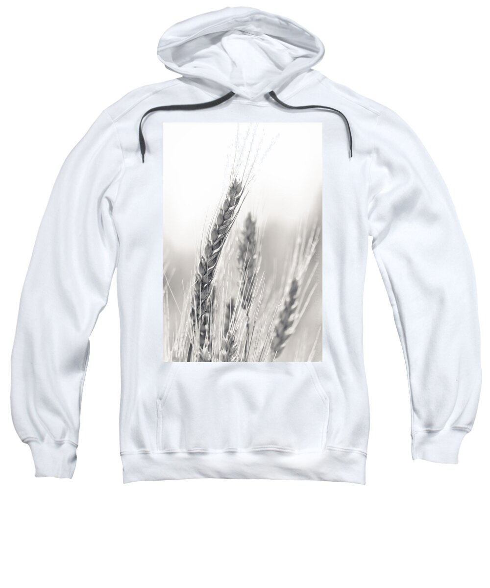 B&w Sweatshirt featuring the photograph Wheat #2 by Alexander Fedin