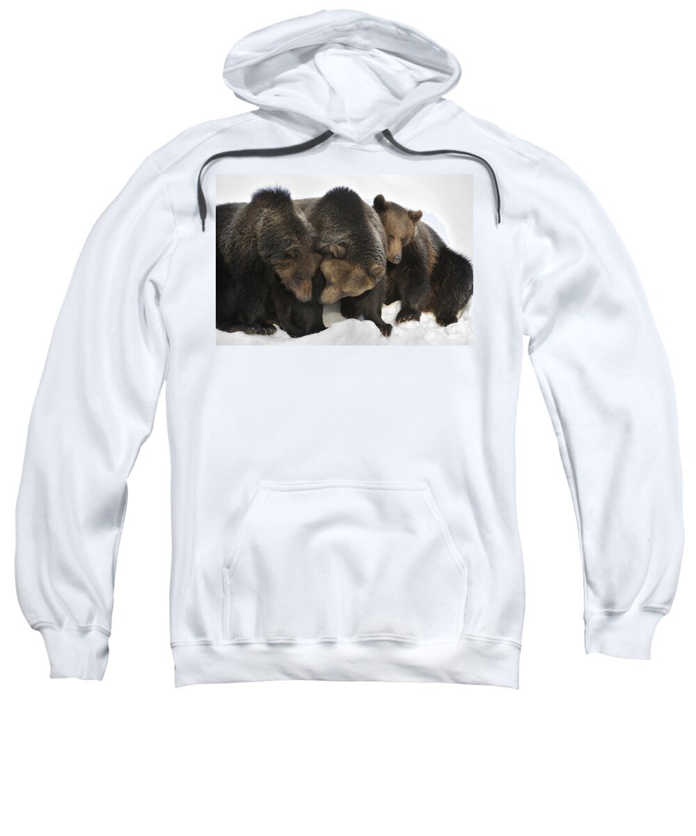 Common Sweatshirt featuring the photograph 120715p113 by Arterra Picture Library