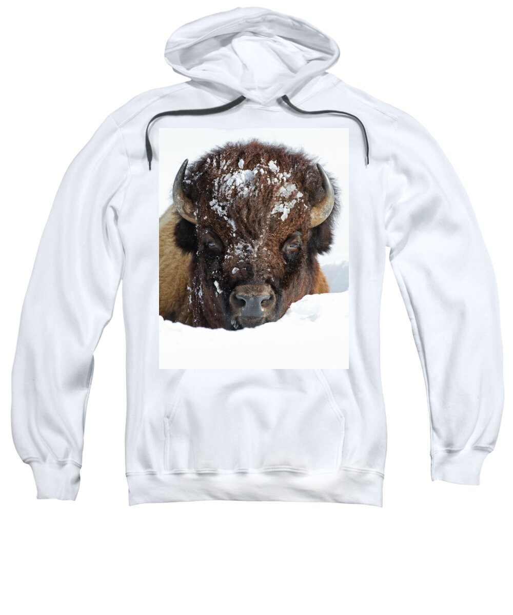 American Bison Sweatshirt featuring the photograph Bison in Snow #2 by Max Waugh