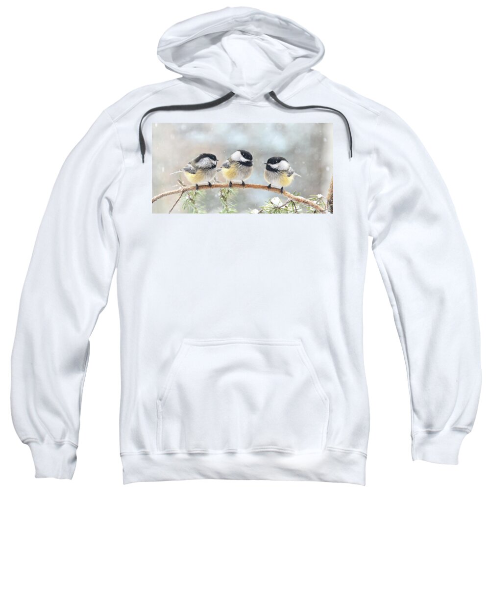 3 Chickadees Sweatshirt featuring the photograph 3 Chickadees on a Snowy Day by Peg Runyan