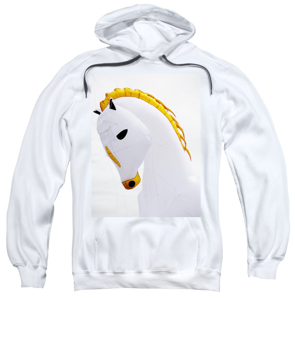 Canterbury Sweatshirt featuring the photograph A Mane of Gold by Steve Taylor