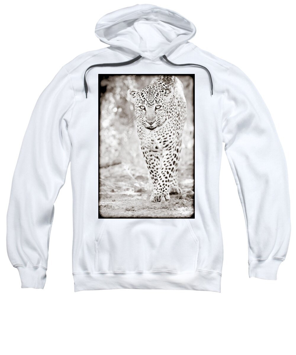 Africa Sweatshirt featuring the photograph Approaching Leopard by Mike Gaudaur