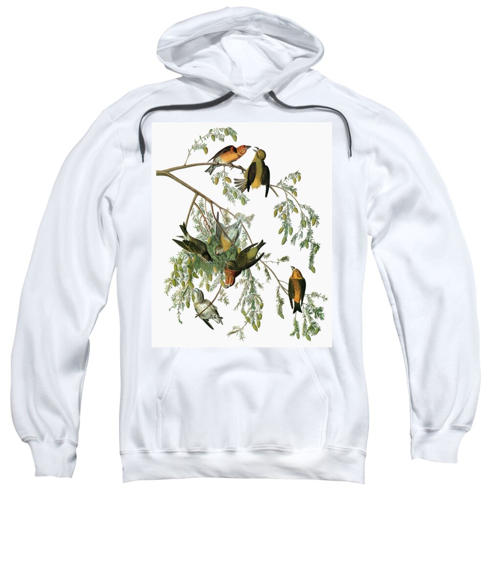 1827 Sweatshirt featuring the painting Audubon Crossbill by Granger