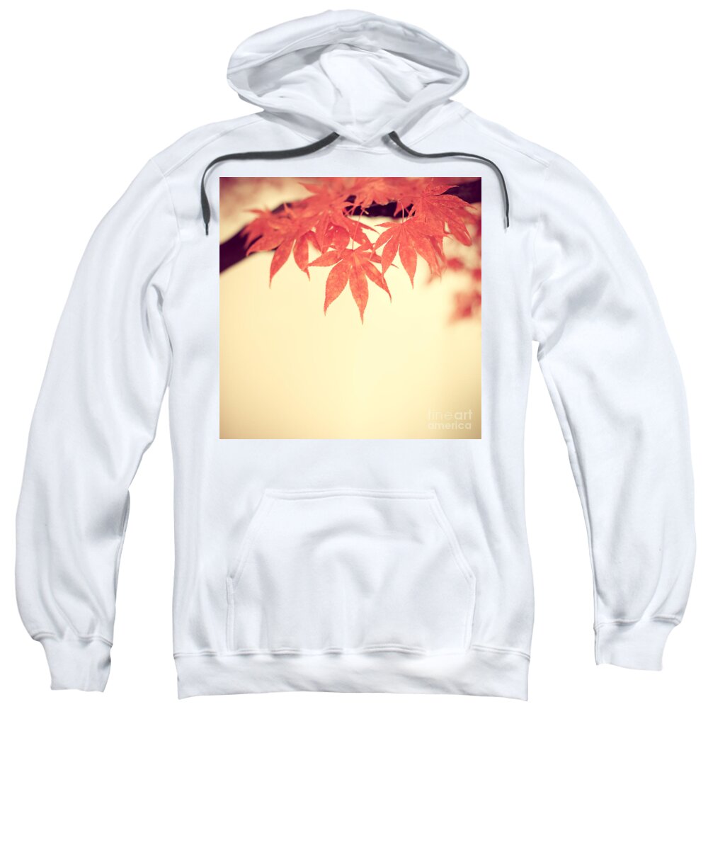 Autumn Sweatshirt featuring the photograph Beautiful Fall by Hannes Cmarits