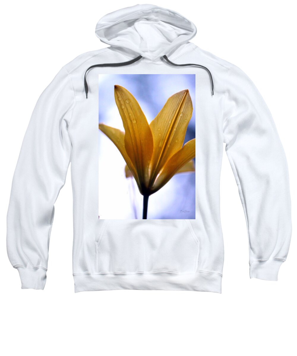 Day Lily Sweatshirt featuring the photograph Buttersoft Droplets by Deborah Crew-Johnson