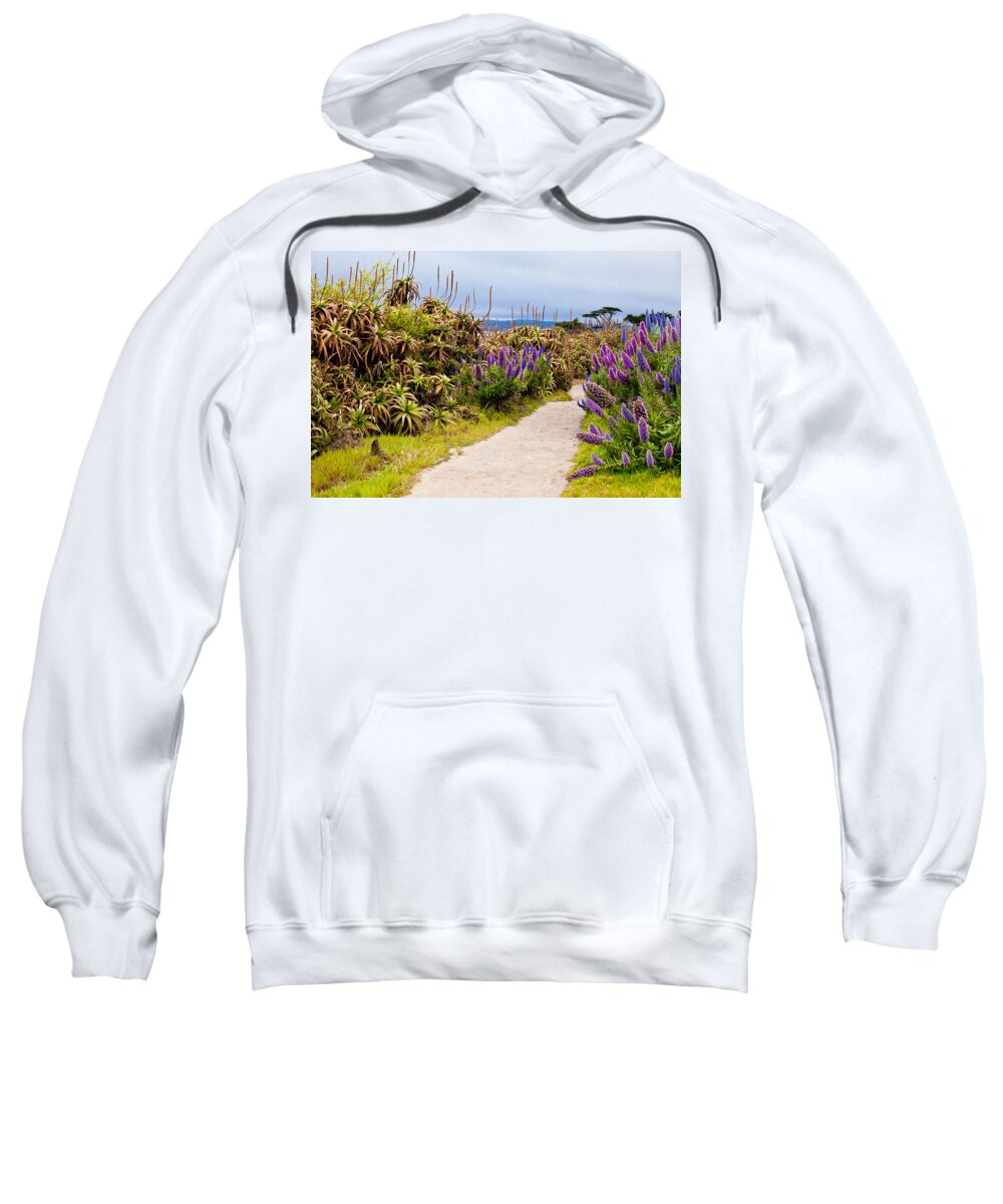 Walkway Sweatshirt featuring the photograph California Coastline Path by Melinda Ledsome