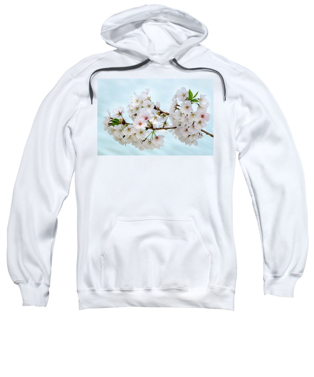 Dc Cherry Blossom Festival Sweatshirt featuring the photograph Cherry Blossoms No. 9146 by Georgette Grossman