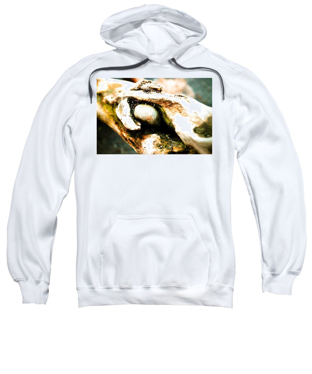 Abstract Sweatshirt featuring the photograph Cold Stare by Laureen Murtha Menzl