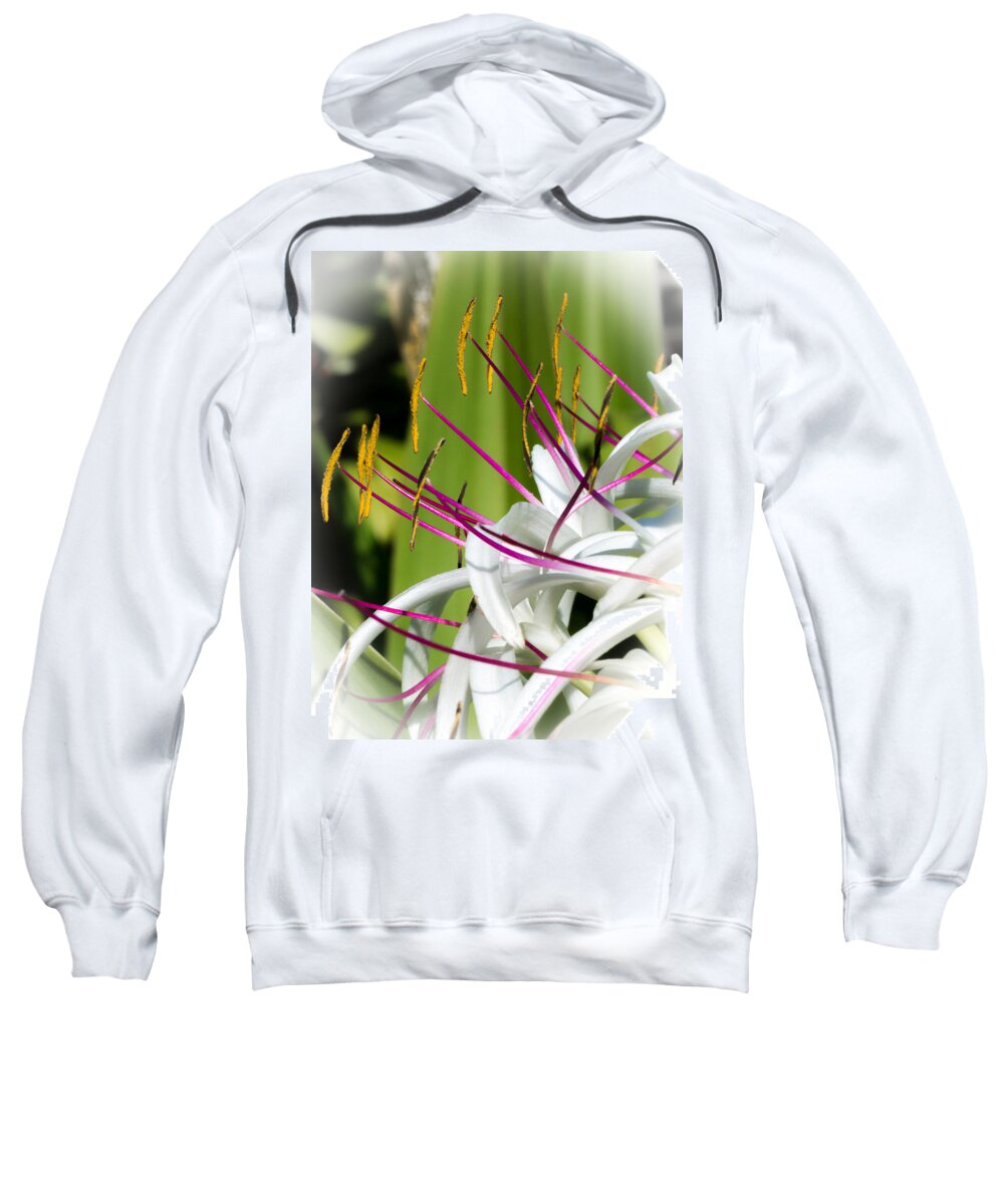 Lily Sweatshirt featuring the photograph Coming to Attention by Will Wagner