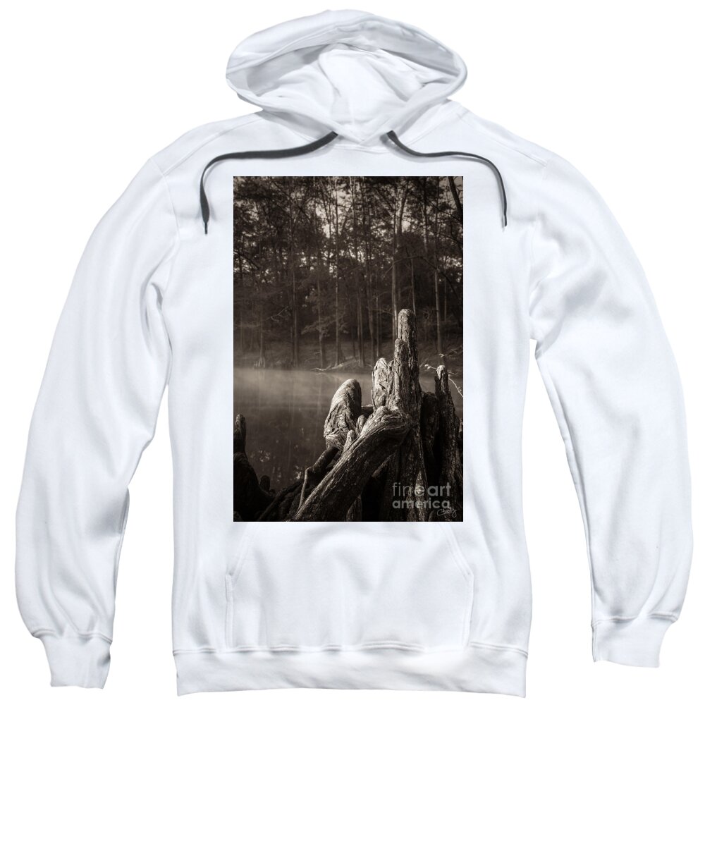 Cypress Knees Sweatshirt featuring the photograph Cypress Knees in Sepia by Imagery by Charly