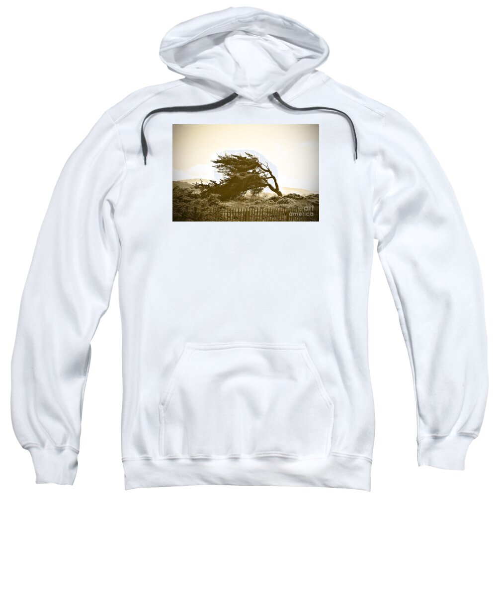 Monterey Cypress Sweatshirt featuring the photograph Cypress Trees in Monterey by Artist and Photographer Laura Wrede