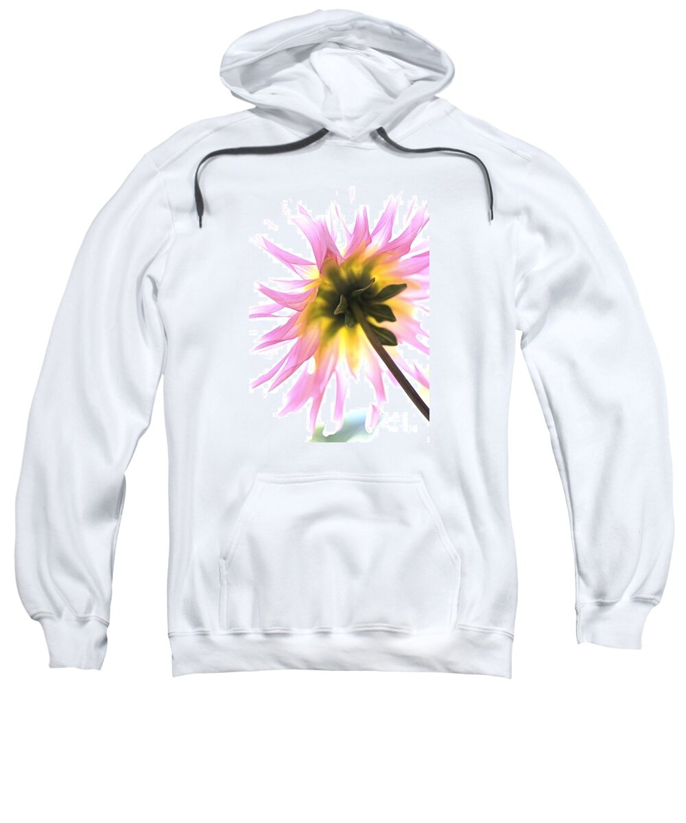 Dahlia Flower Sweatshirt featuring the photograph Dahlia Flower by Joy Watson