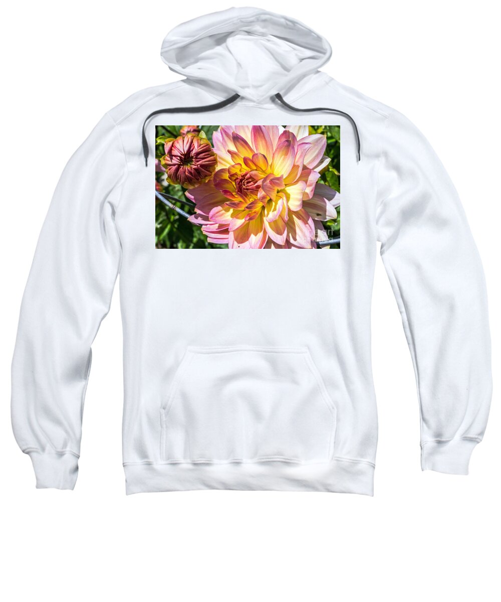 Community Garden Sweatshirt featuring the photograph Dahlia by Kate Brown