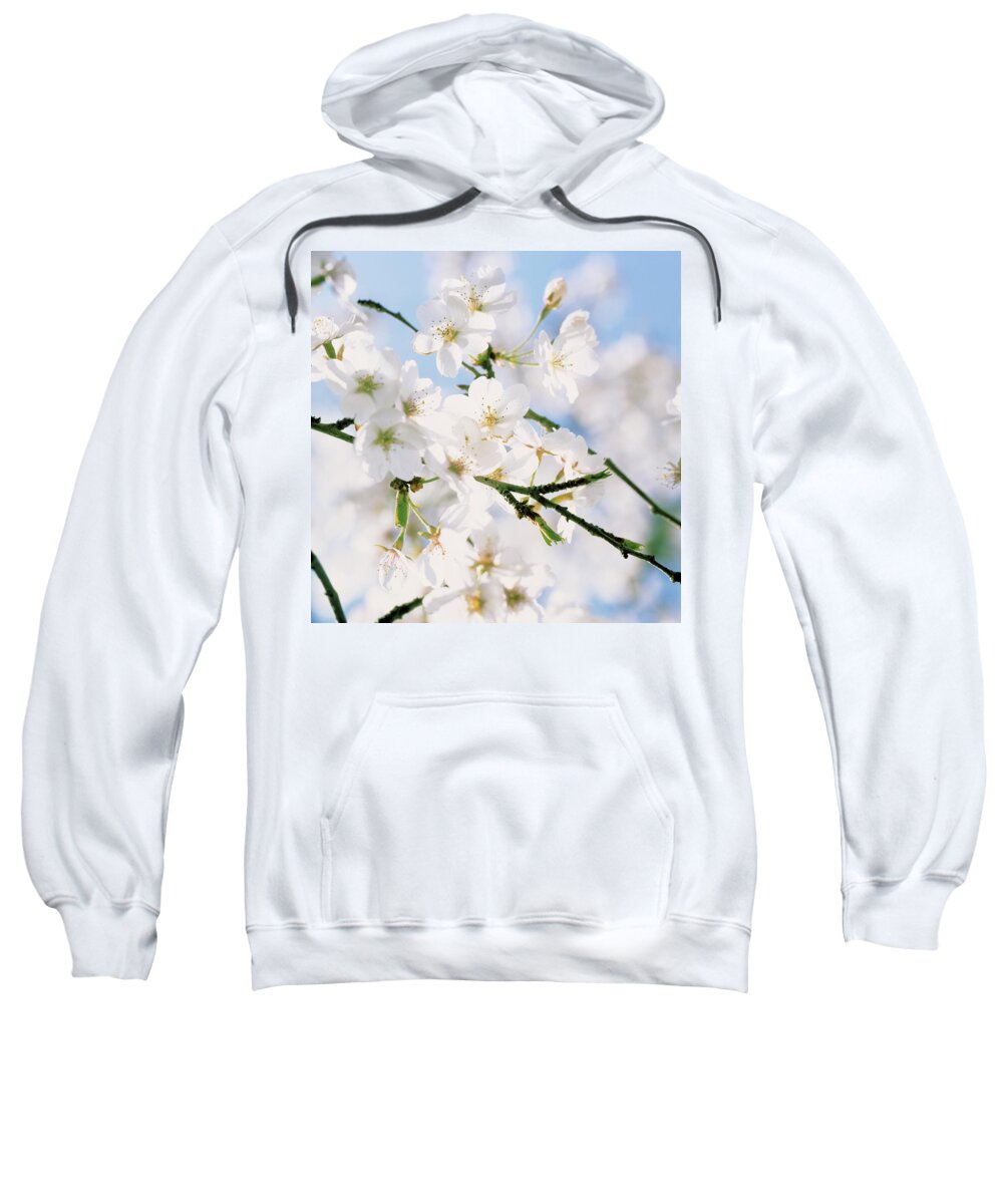 Cjerry Blossom Sweatshirt featuring the photograph Delicate cherry blossoms and blue sky by Ulrich Kunst And Bettina Scheidulin