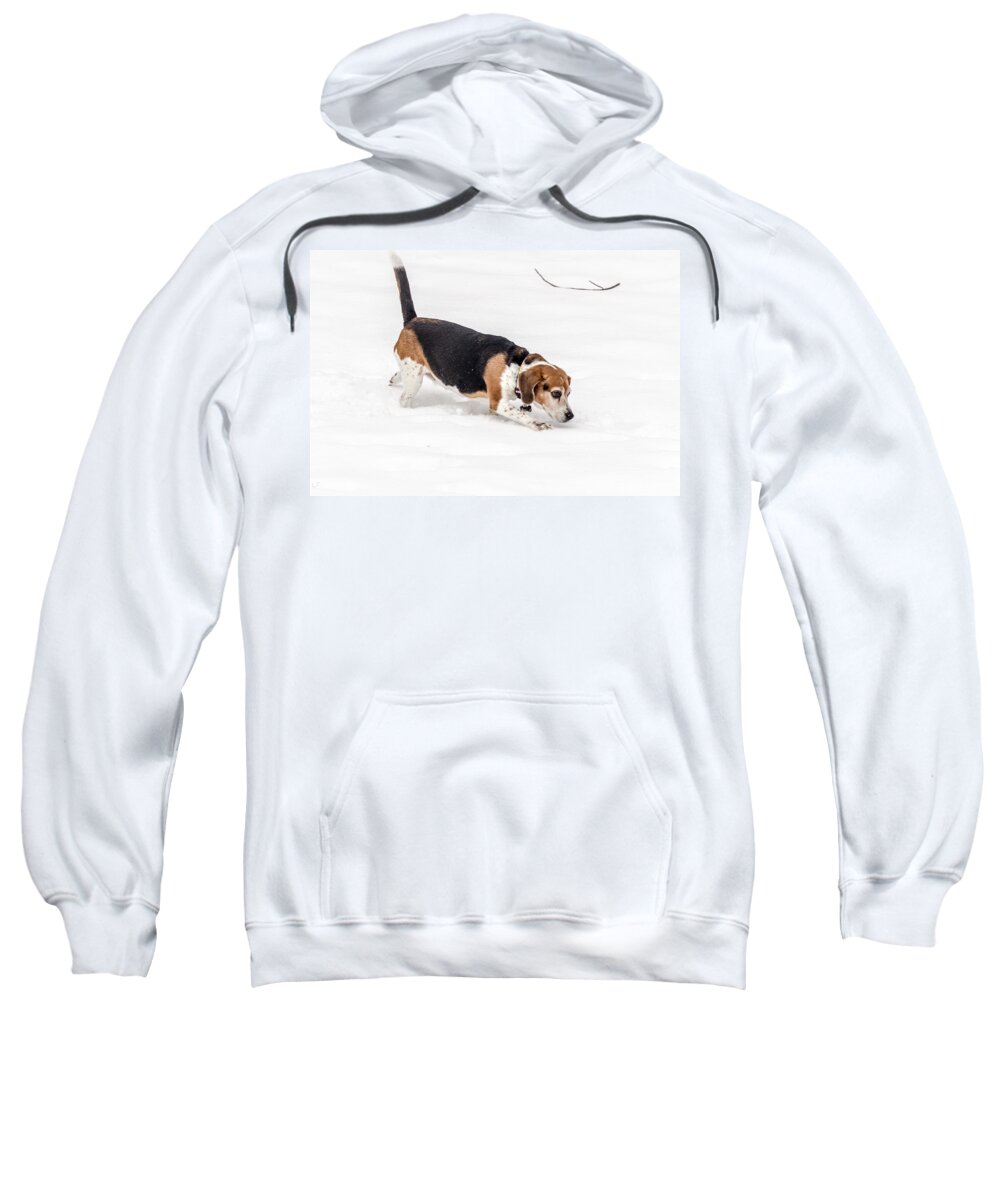 2015 Sweatshirt featuring the photograph Dog in the Snow by Wade Brooks