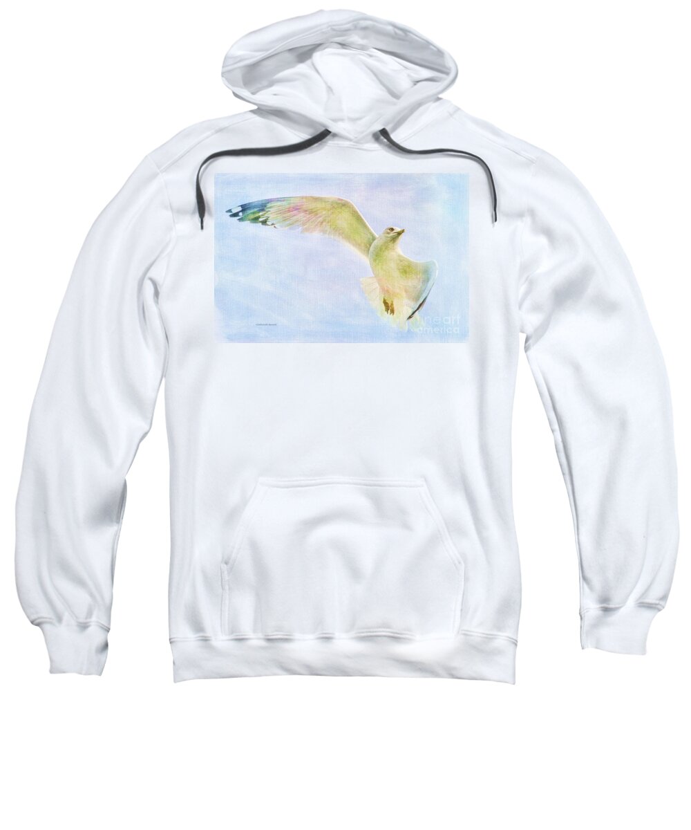 Seagull Sweatshirt featuring the photograph Dreamy Soft Seagull by Deborah Benoit
