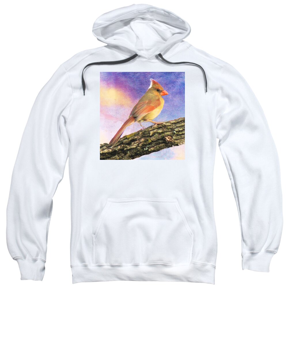Bird Sweatshirt featuring the photograph Female Cardinal Away From Sun by Janette Boyd