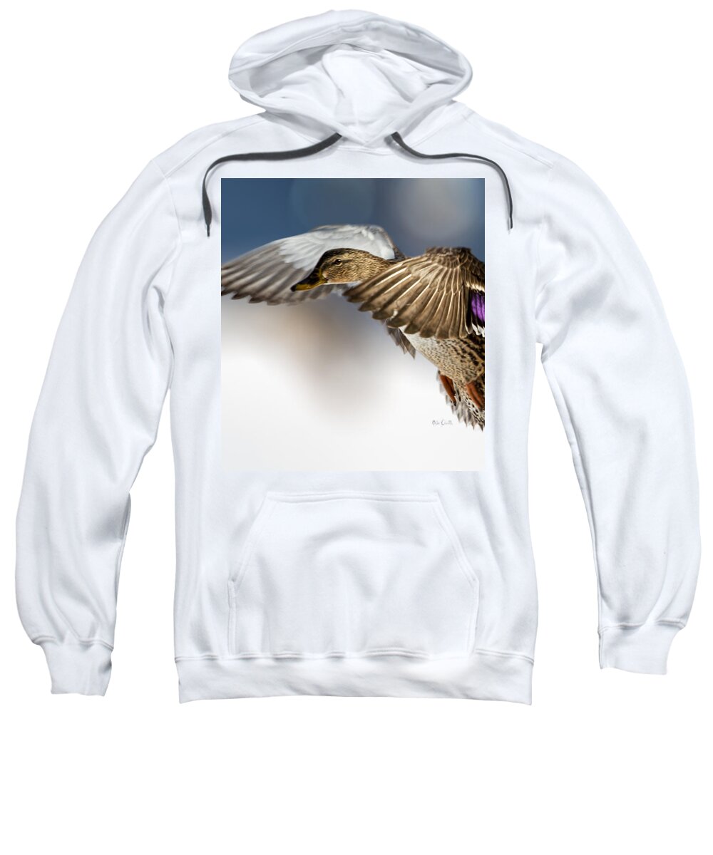 Duck Sweatshirt featuring the photograph Flight of the Mallard by Bob Orsillo