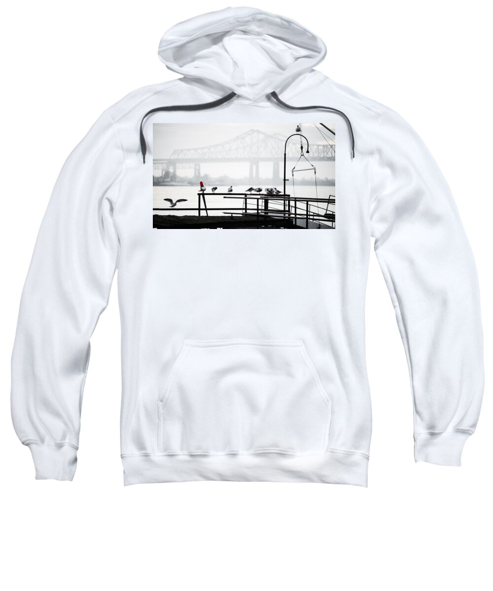 Gull Sweatshirt featuring the photograph Flock by David Downs