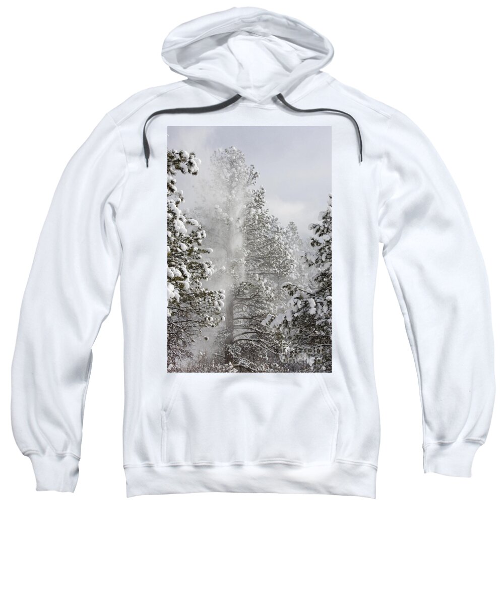 Beautiful Sweatshirt featuring the photograph Fresh Snow by Steven Krull
