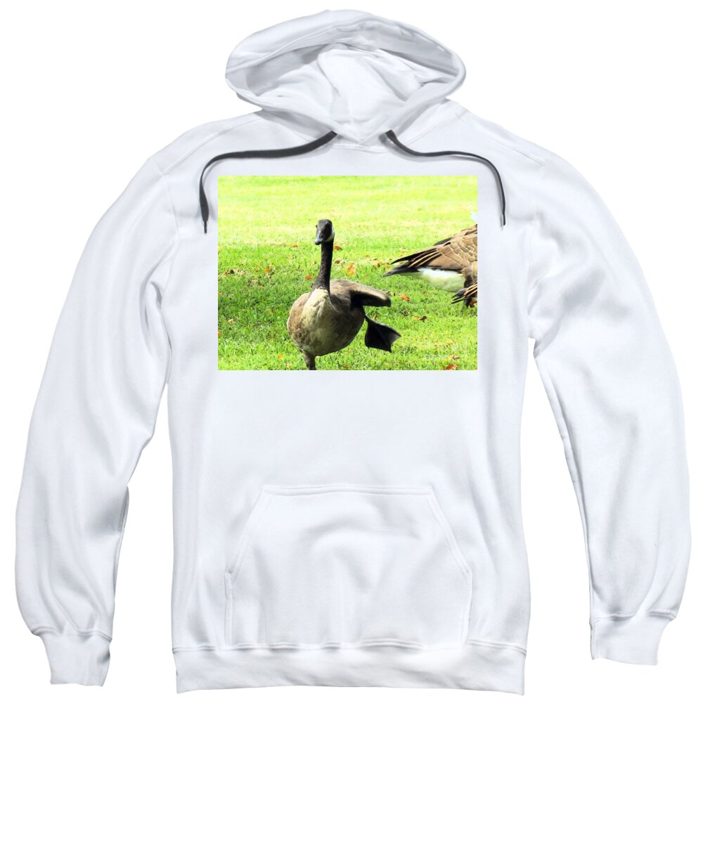 Happy Sweatshirt featuring the photograph Happy Feet Dance by Robyn King