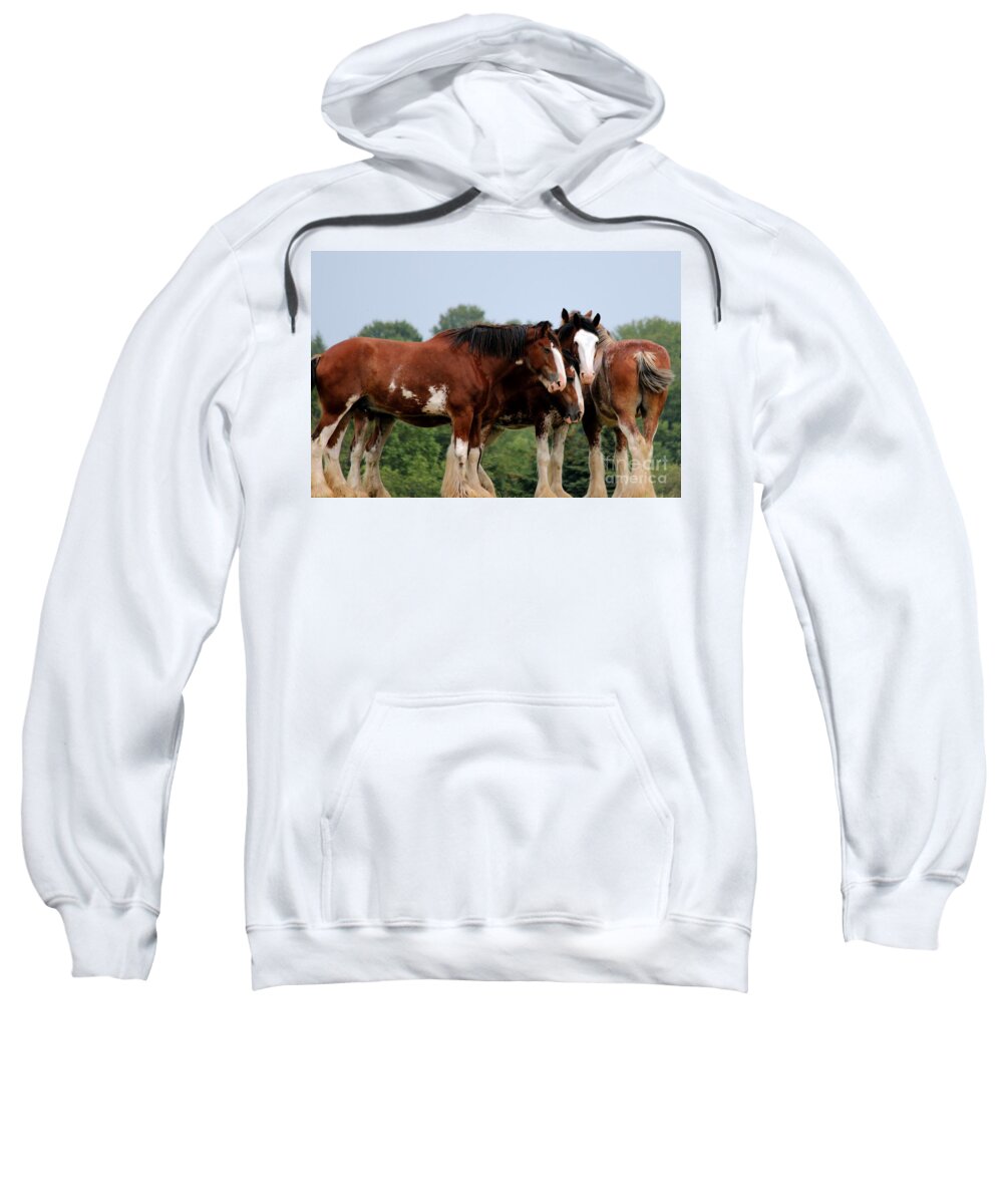 Horse Sweatshirt featuring the photograph Horsie Huddle by Janice Byer