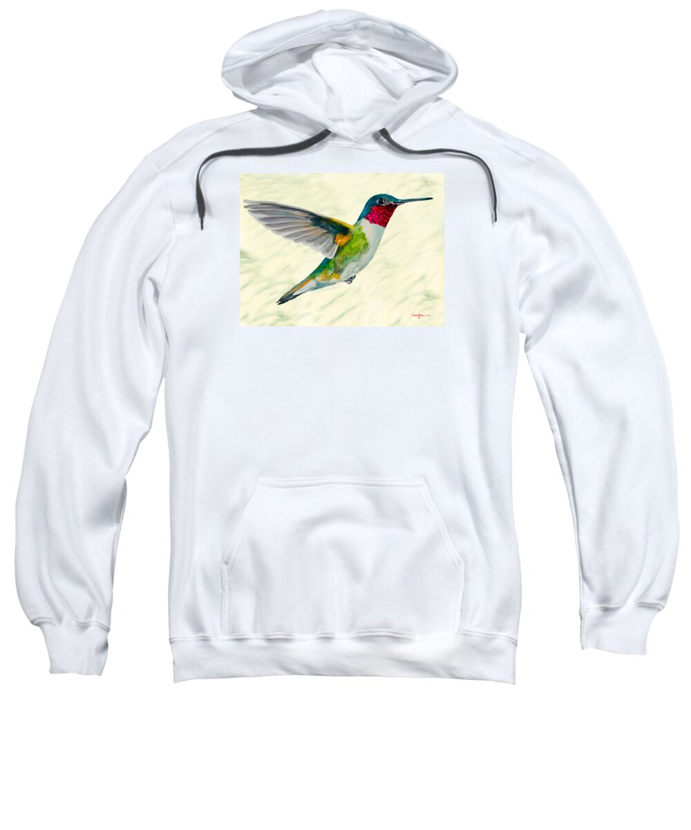 Bird Sweatshirt featuring the painting Broadtail Hummingbird Daniel Adams by Daniel Adams