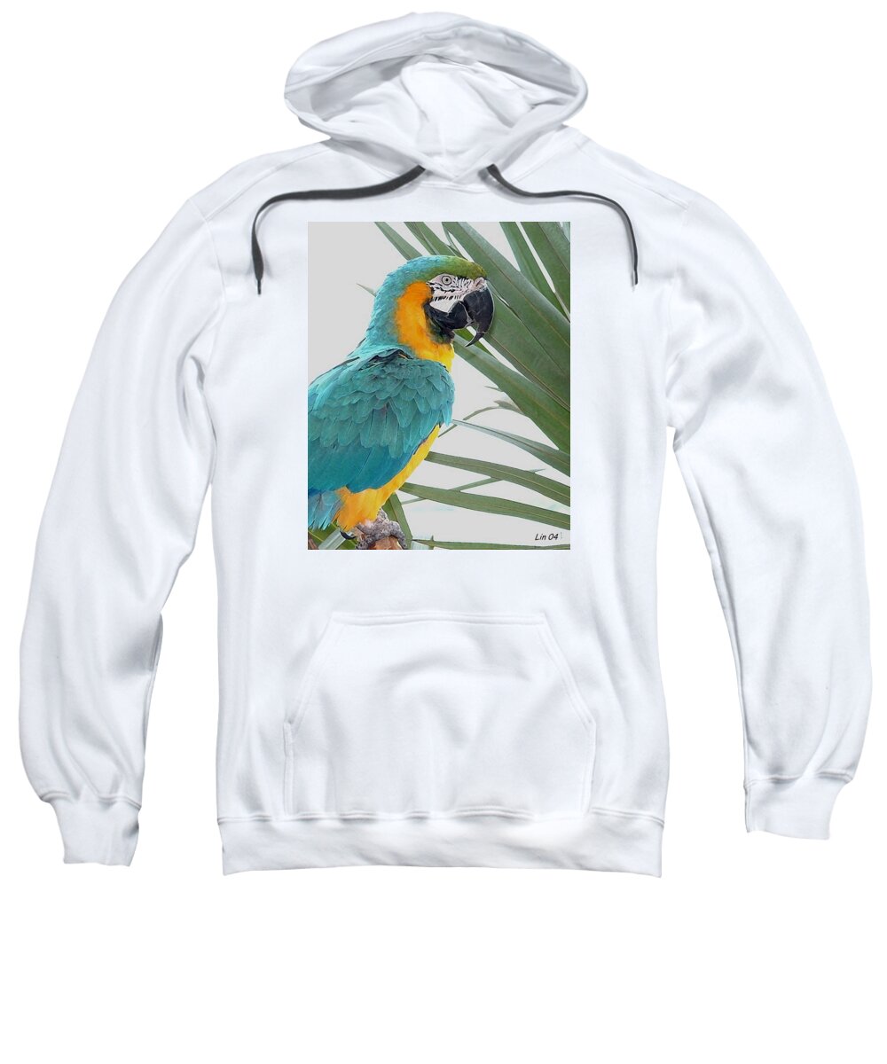 Bird Sweatshirt featuring the photograph Islamorada Parrot - of the Macaw Persuasion by Lin Grosvenor
