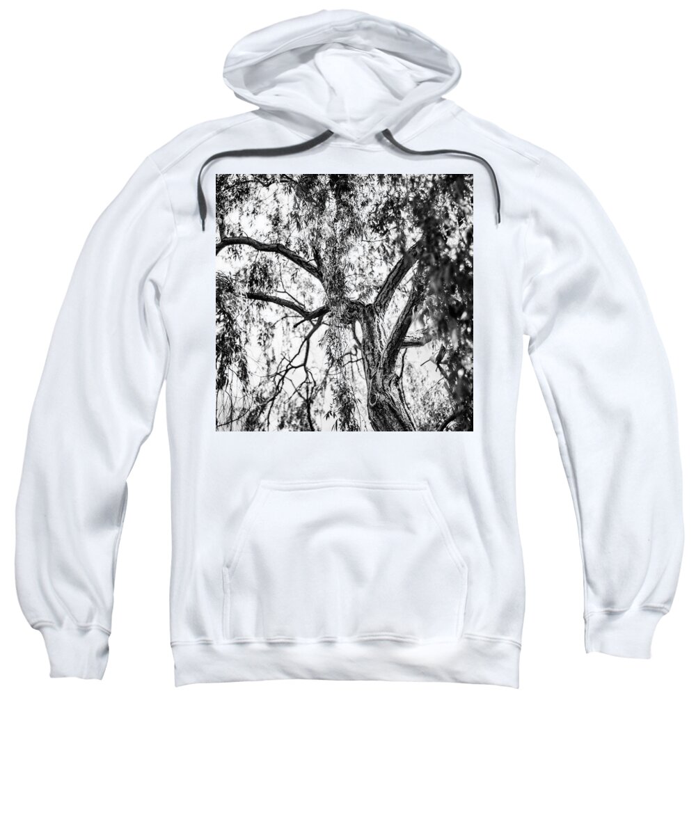 Life Sweatshirt featuring the photograph It's Bark Is Louder Than It's Bite by Aleck Cartwright