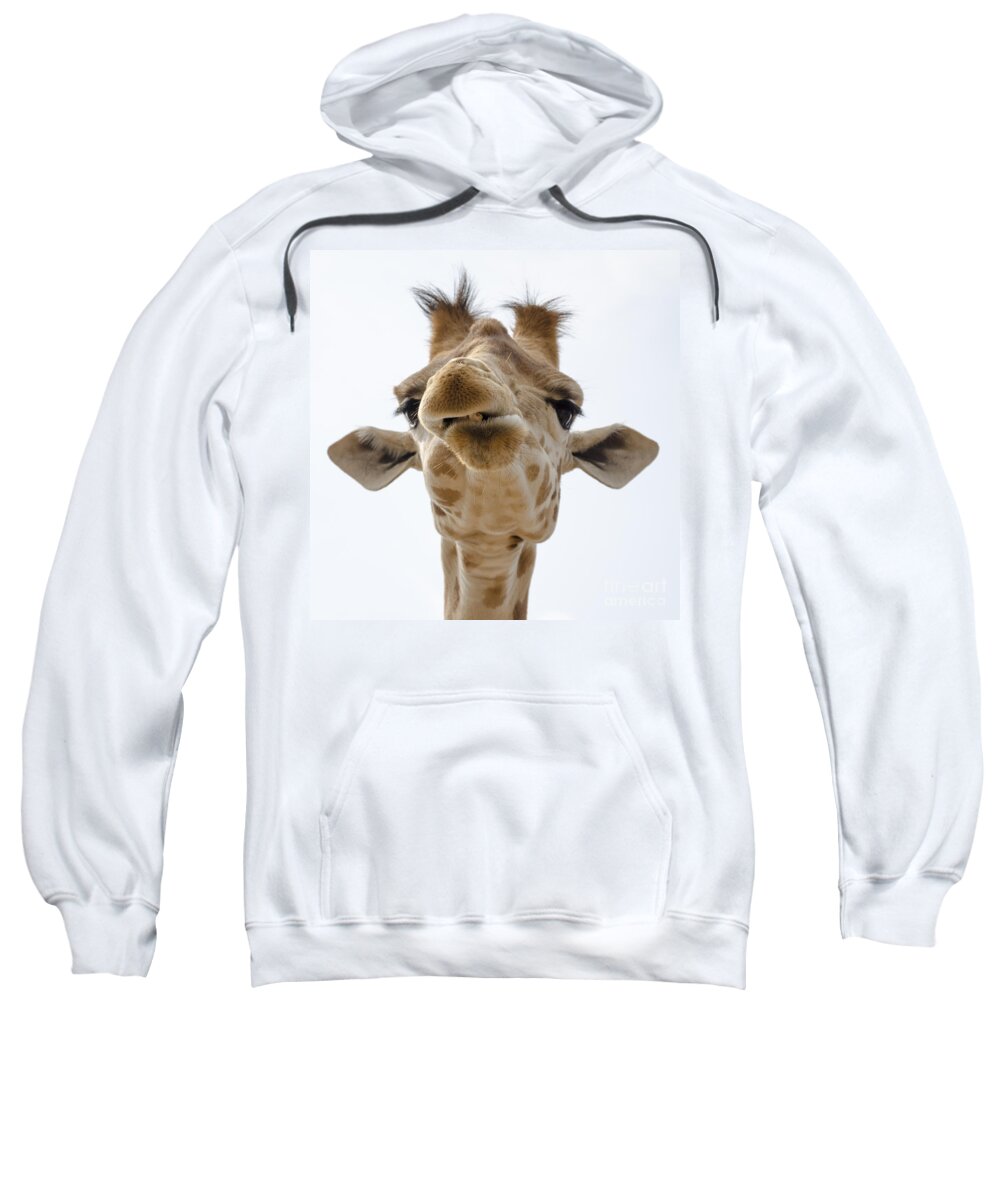 Giraffe Sweatshirt featuring the photograph Just chewin' by Steev Stamford