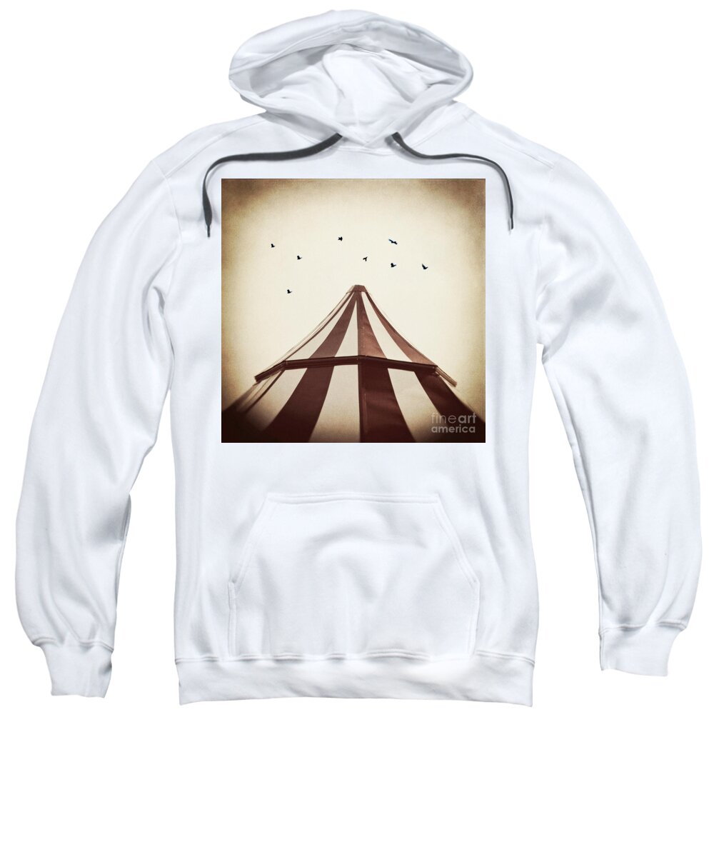 Birds Sweatshirt featuring the photograph Le Carnivale by Trish Mistric