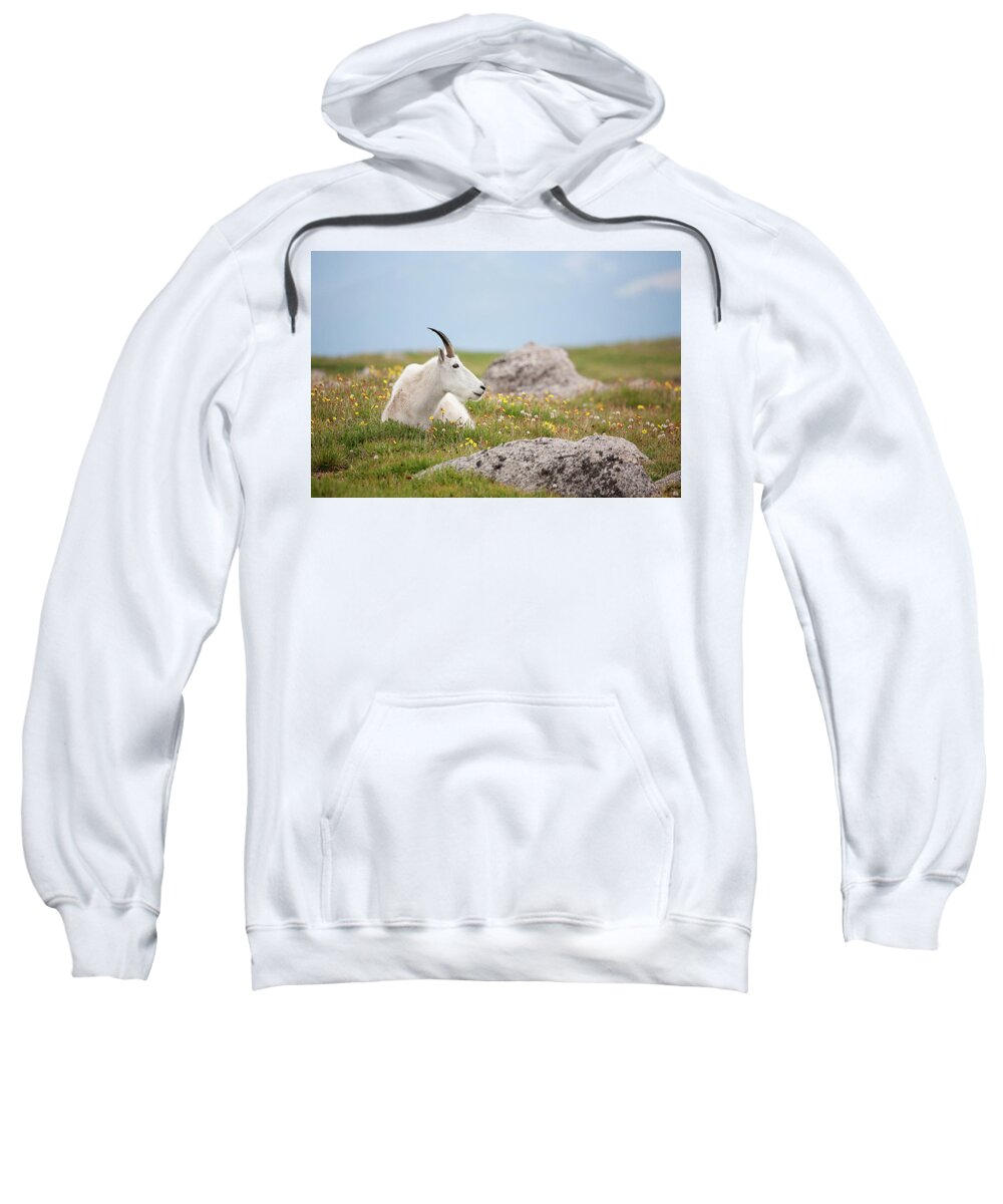 Billie Goat Sweatshirt featuring the photograph Lie Down in Green Pastures by Jim Garrison