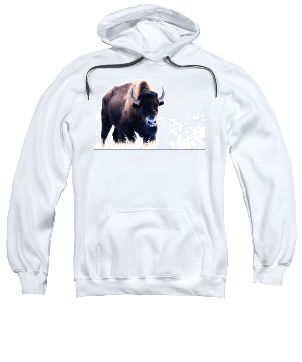 Bison Sweatshirt featuring the photograph Lone Bull by Donald J Gray