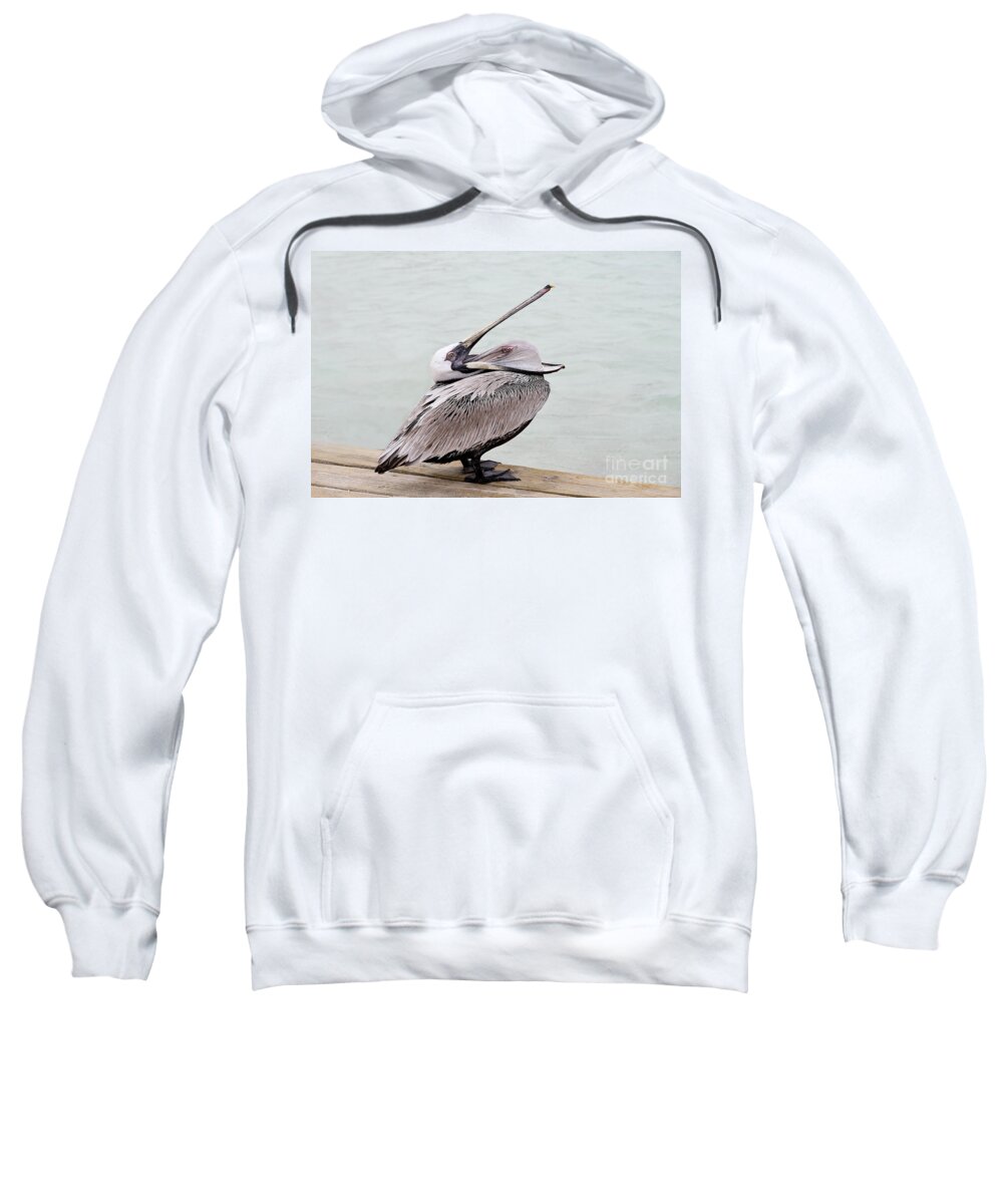 Bird Sweatshirt featuring the photograph Open Wide by Teresa Zieba