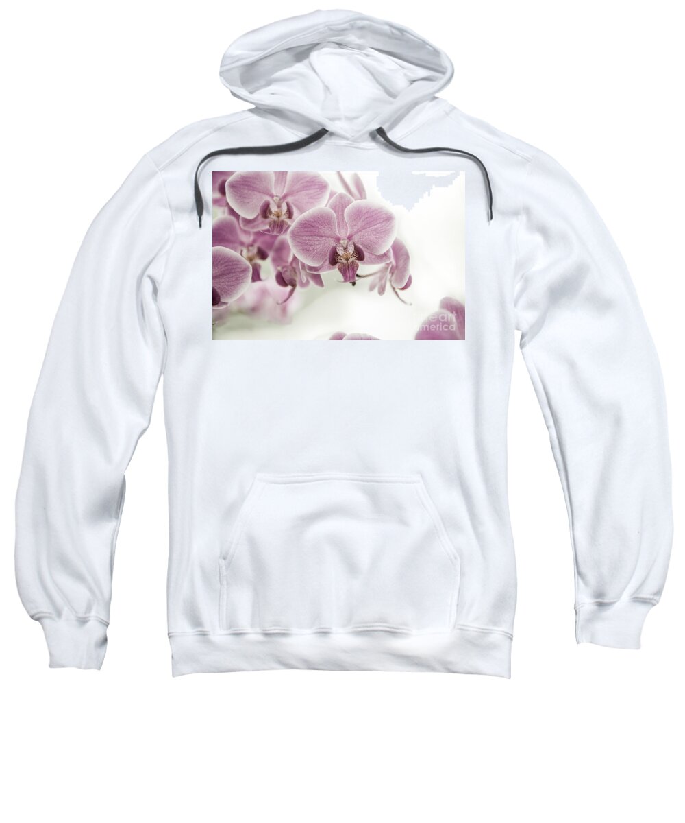 Asia Sweatshirt featuring the photograph Orchid Pink Vintage by Hannes Cmarits