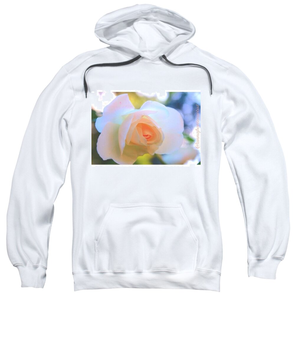 Pastel Sweatshirt featuring the photograph Pale Peach Translucence by Anna Porter