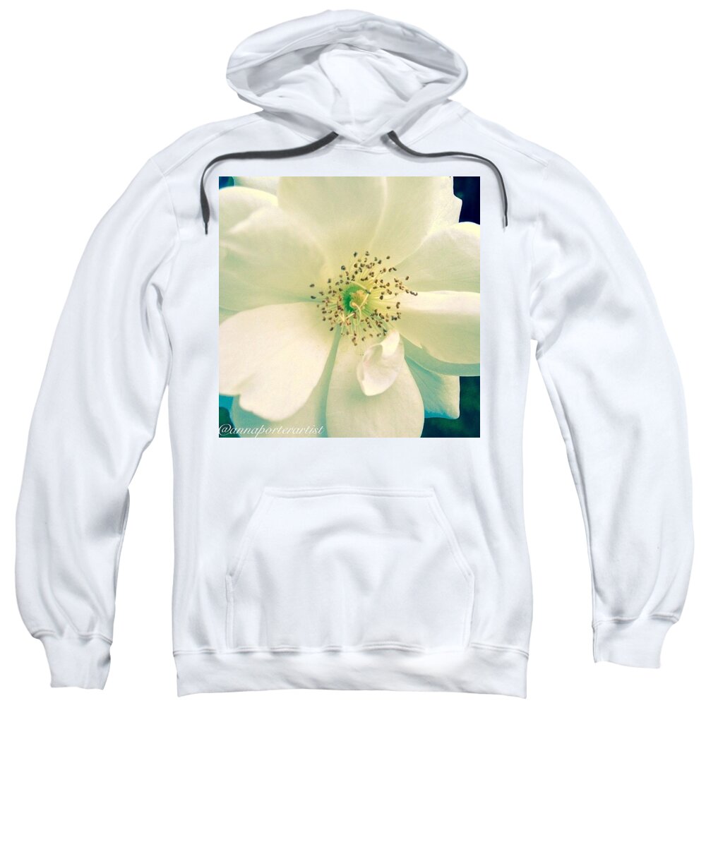 White Sweatshirt featuring the photograph Pale White Beauty by Anna Porter