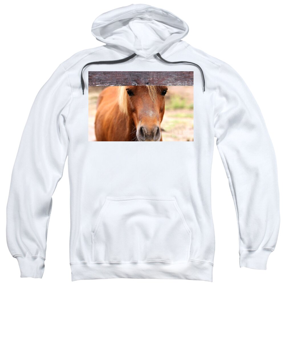 Pony Sweatshirt featuring the photograph Peaking Pony by Janice Byer