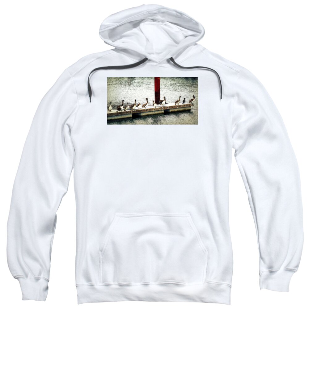 Pelican Sweatshirt featuring the photograph Pelican Island by Melanie Lankford Photography