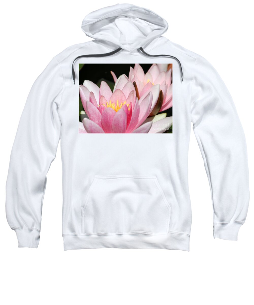 Lilies Sweatshirt featuring the photograph Pink Water Lily by Amanda Mohler