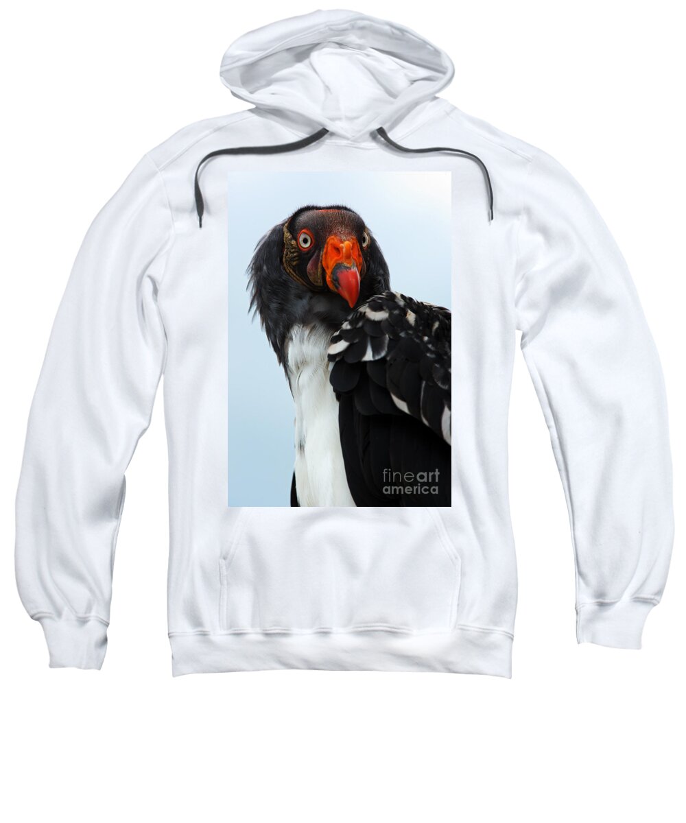 African Sweatshirt featuring the photograph Portrait of a king vulture by Nick Biemans