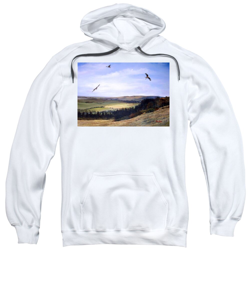  Red Kites Sweatshirt featuring the painting Red Kites at Coombe Hill by Barry BLAKE