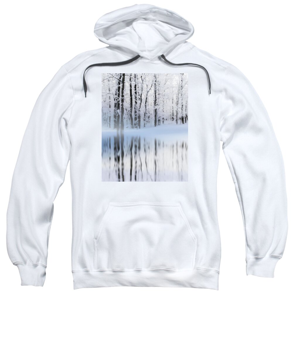 Winter Sweatshirt featuring the photograph Reflection on a Dream Collingwood, ON by Andrea Kollo