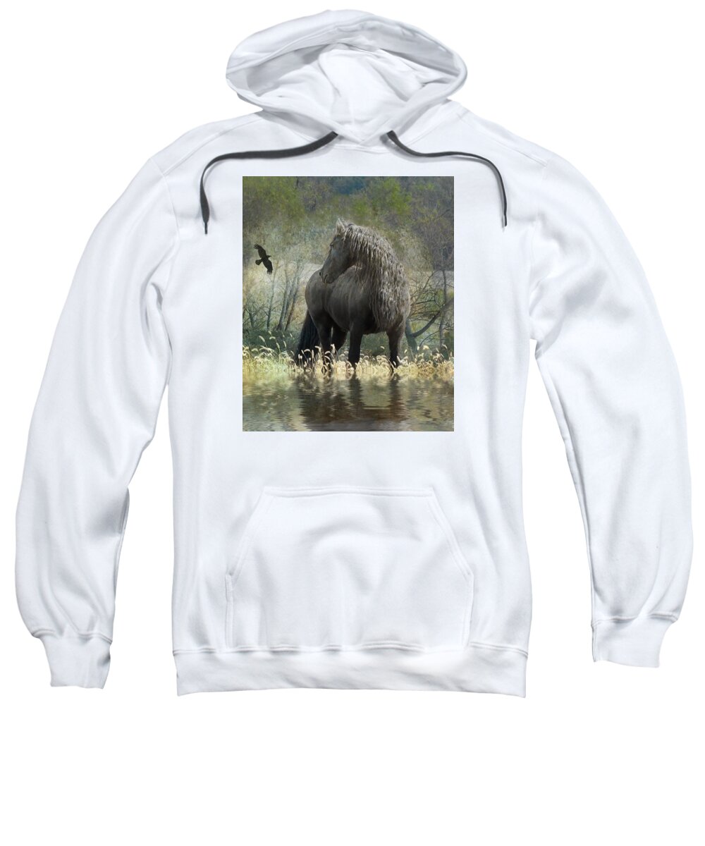 Friesian Horses Sweatshirt featuring the photograph Remme and the Crow by Fran J Scott