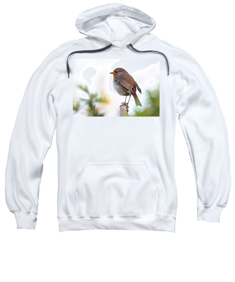 Canon Sweatshirt featuring the photograph Robin on a Pole by Jeremy Hayden